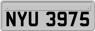 NYU3975