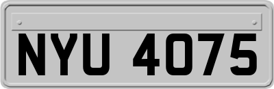 NYU4075