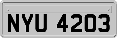 NYU4203