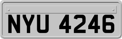 NYU4246