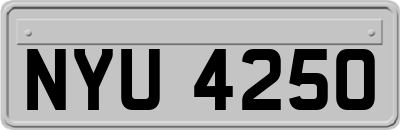 NYU4250