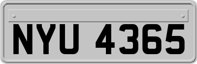 NYU4365