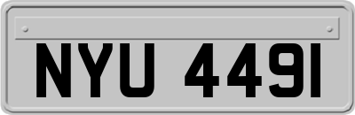 NYU4491