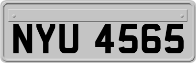 NYU4565