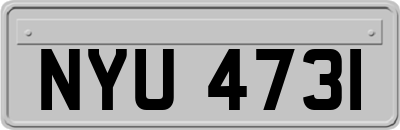 NYU4731