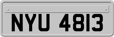 NYU4813