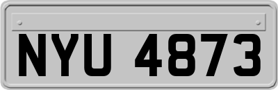 NYU4873