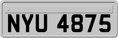 NYU4875