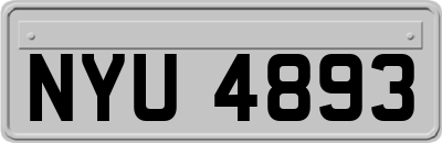 NYU4893