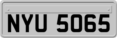NYU5065