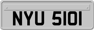 NYU5101