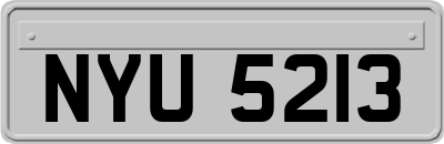 NYU5213