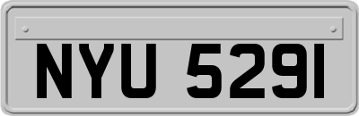 NYU5291
