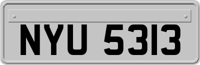 NYU5313