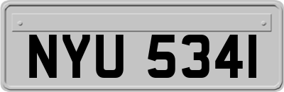 NYU5341
