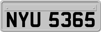 NYU5365