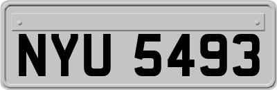 NYU5493