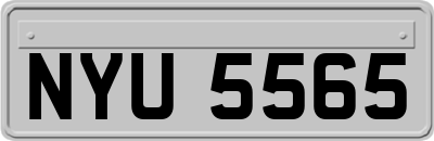 NYU5565