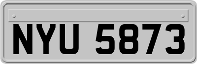 NYU5873