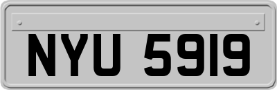 NYU5919