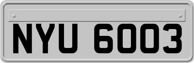NYU6003