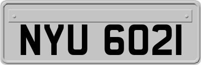 NYU6021