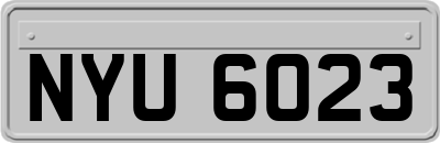NYU6023