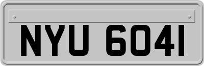 NYU6041