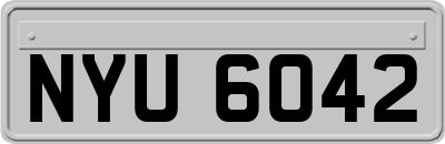 NYU6042