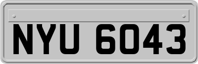 NYU6043