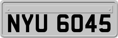 NYU6045