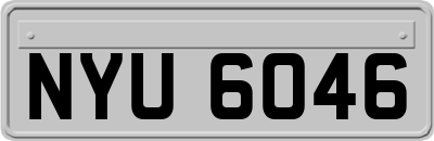 NYU6046
