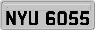NYU6055