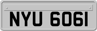 NYU6061
