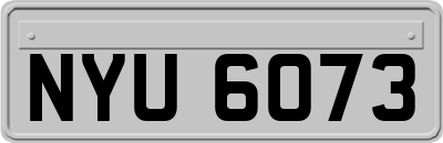 NYU6073