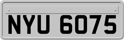 NYU6075