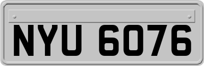 NYU6076