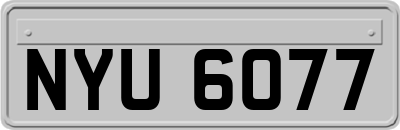NYU6077