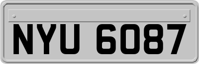 NYU6087
