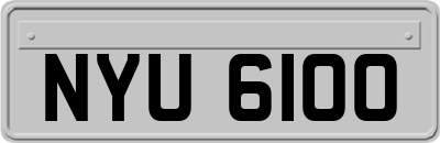 NYU6100