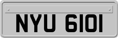 NYU6101