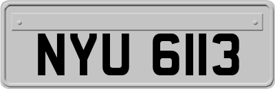 NYU6113