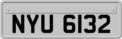 NYU6132