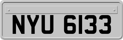 NYU6133