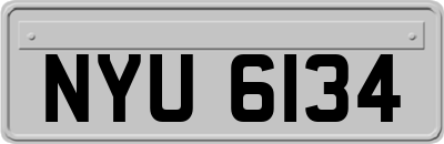 NYU6134