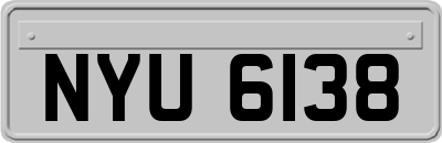 NYU6138