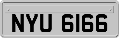 NYU6166
