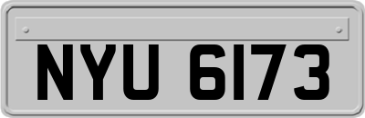 NYU6173