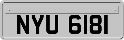 NYU6181
