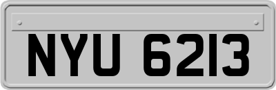 NYU6213